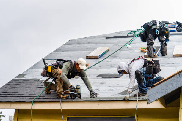 Professional Roofing technician working in Waldo, WI